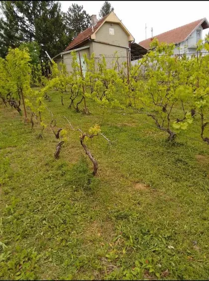 Čortanovci | 4zida.rs