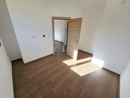 Belog narcisa | 4zida.rs