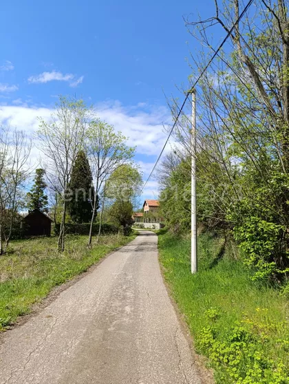Čede Ilića | 4zida.rs