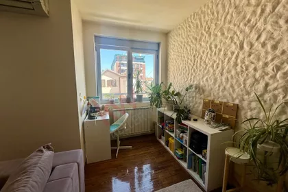Golubačka | 4zida.rs