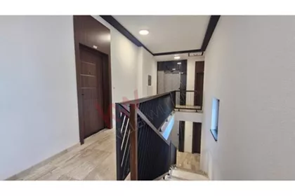 Vase Stajića | 4zida.rs