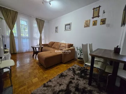 Žila Verna | 4zida.rs