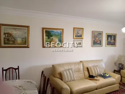 Nedeljka Gvozdenovića | 4zida.rs