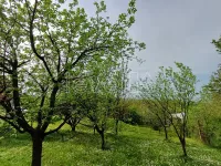 Plac | 4zida