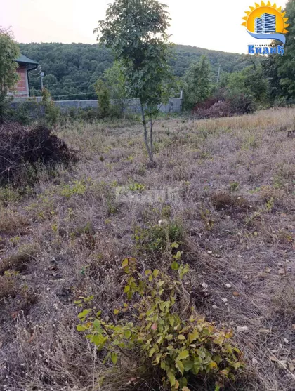 Izvorska | 4zida.rs