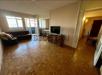 Dr Ivana Ribara | 4zida.rs