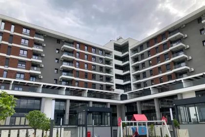 Miodraga Vlajića Šuke | 4zida.rs