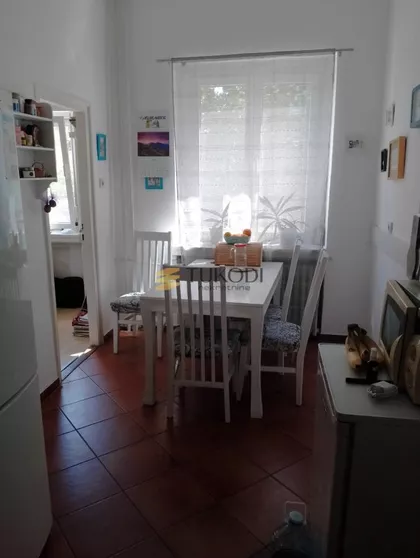 Žarka Vasiljeva | 4zida.rs