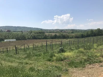 Dragobraća | 4zida.rs