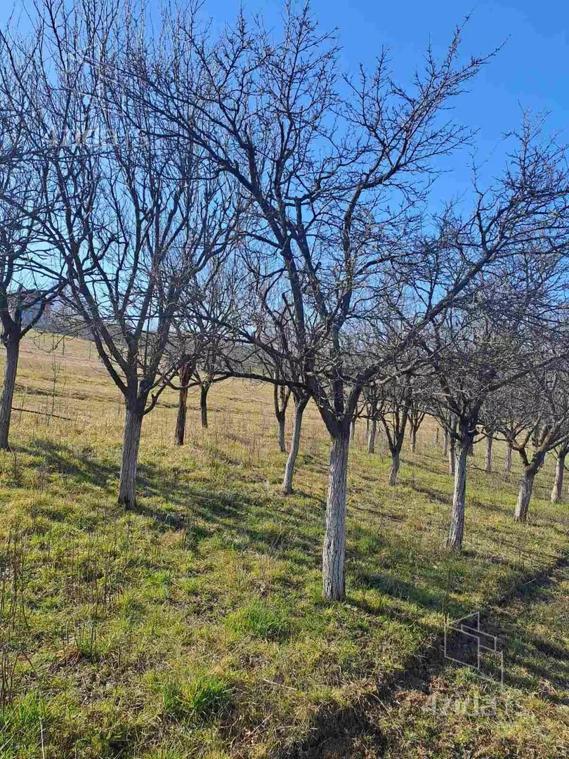 Poljoprivredno zemljište | 4zida