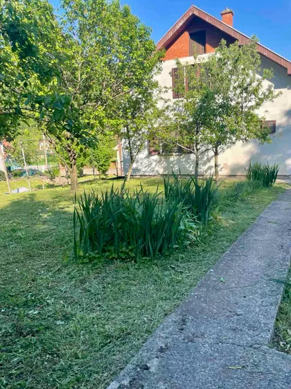 Vuka Karadžića | 4zida.rs