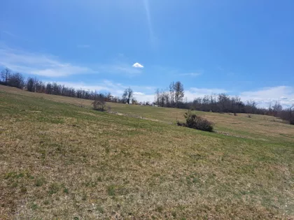 Burađska | 4zida.rs