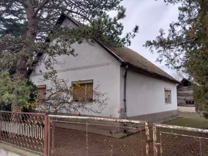 Srpski Šor | 4zida.rs