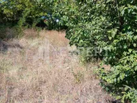 Palilula, Gradske lokacije, Niš | 4zida.rs