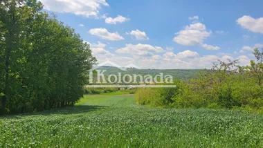 Milorada Markovića Miće