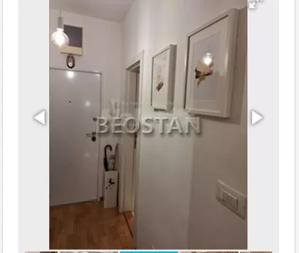 Vespucijeva | 4zida.rs