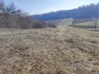 Čortanovci, Okolne lokacije, Inđija | 4zida.rs