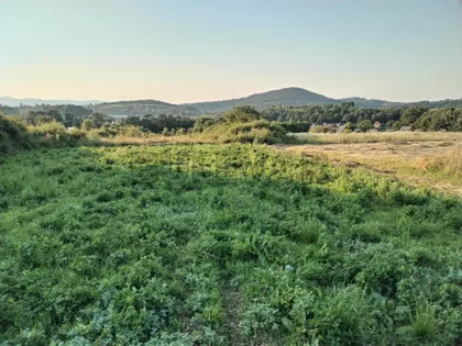 Žunje | 4zida.rs