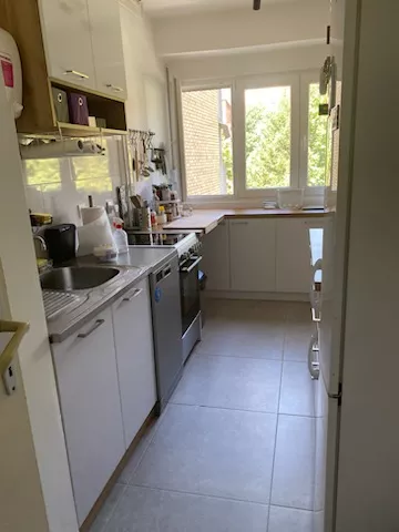 Mis Irbijeva 58 | 4zida.rs