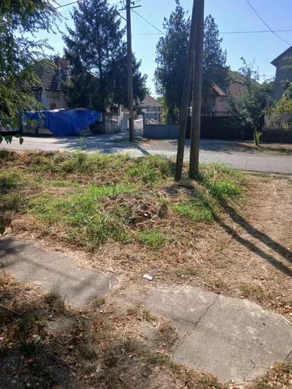 Žarka Zrenjanina 15 | 4zida.rs