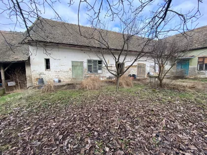 Bačko Dobro Polje | 4zida.rs