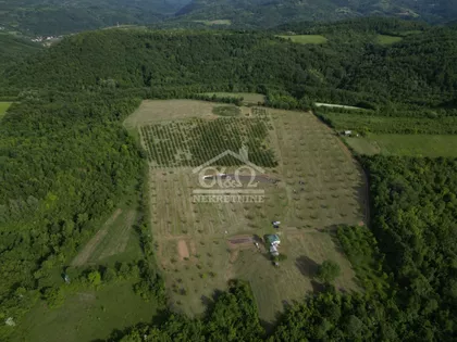 Grošnica | 4zida.rs