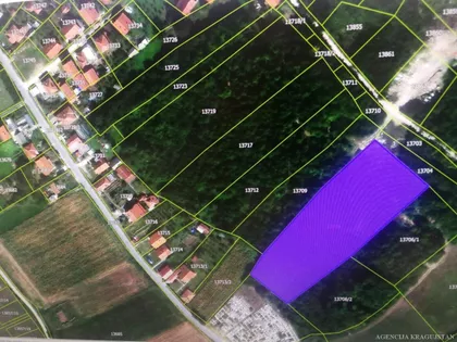 Ždraljica | 4zida.rs