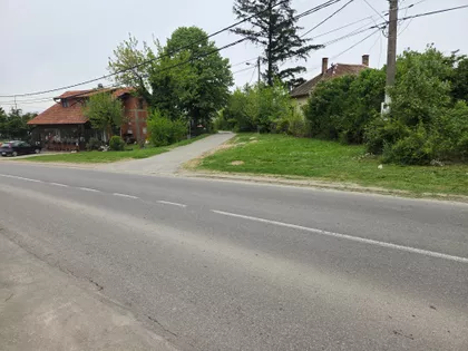 Miodraga Todorovića | 4zida.rs