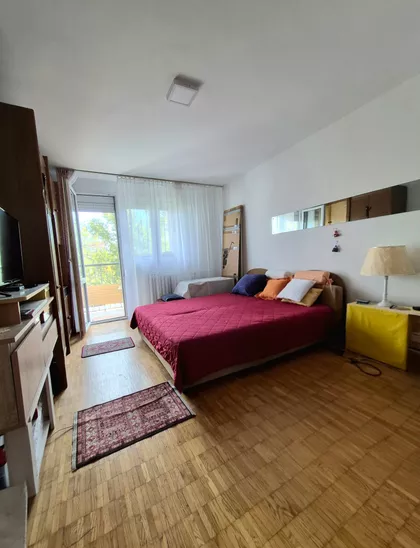 Stara Detelinara | 4zida.rs