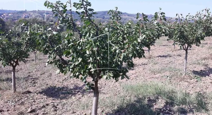 Poljoprivredno zemljište | 4zida