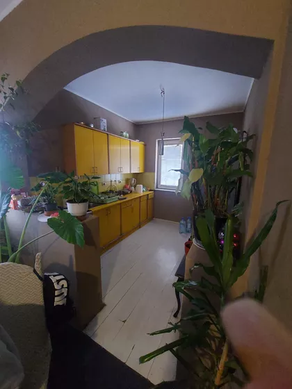 Dudova Šuma | 4zida.rs