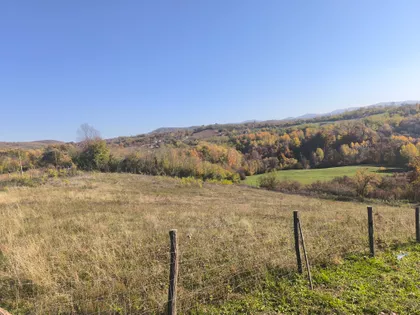 Goločelska | 4zida.rs