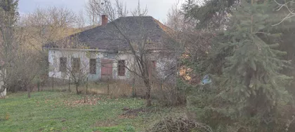 Milosava Vlajića | 4zida.rs