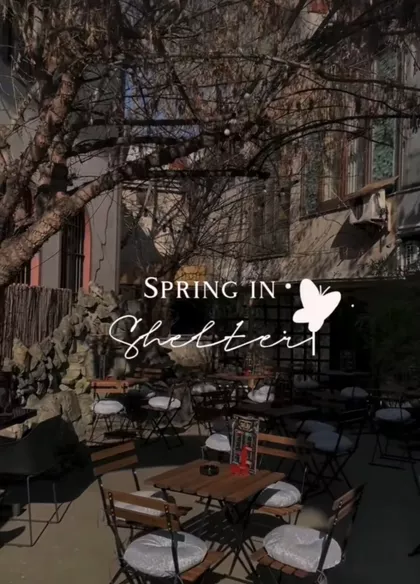 Vidovdanska | 4zida.rs