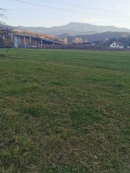 Šekspirova | 4zida.rs