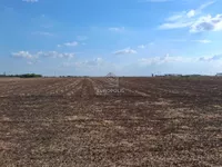 Dobanovci, Surčin opština, Beograd | 4zida.rs