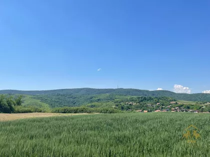 Bukovac | 4zida.rs