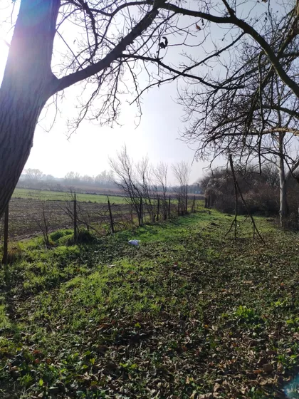 Milutina Milankovića | 4zida.rs