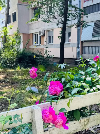Sremskih boraca | 4zida.rs