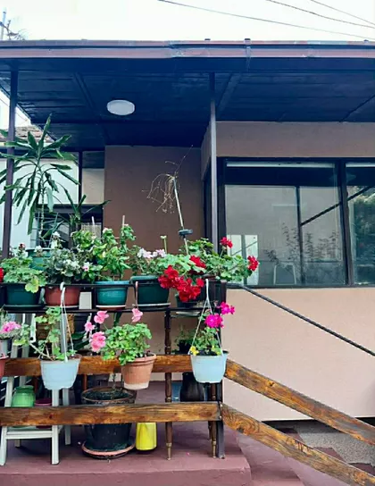 Braće Jerković | 4zida.rs