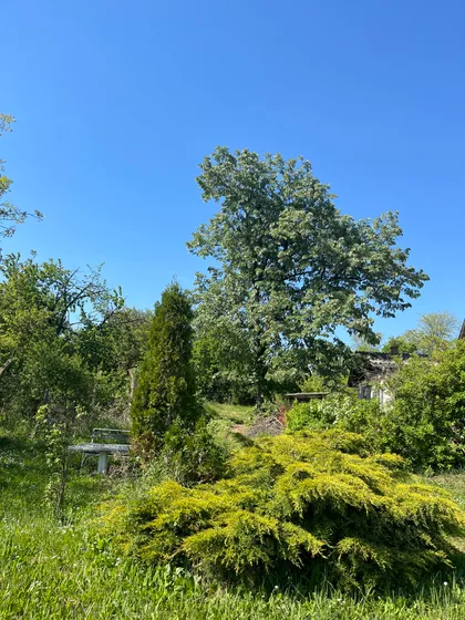 Sunčani breg | 4zida.rs