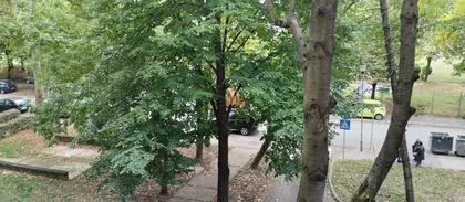 Darinke Radović | 4zida.rs