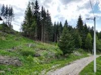 Plac | 4zida