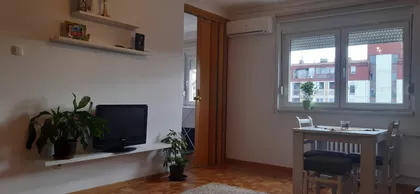 Dr Ivan Ribar | 4zida.rs