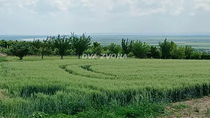 Stari Slankamen | 4zida.rs