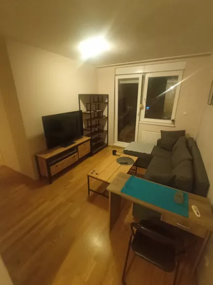 Dr Svetislava Kasapinovića | 4zida.rs