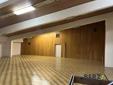 Sremska Kamenica