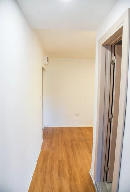 Mikice Lesjaka 50 | 4zida.rs