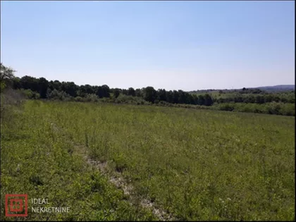 Šuplja Stena | 4zida.rs