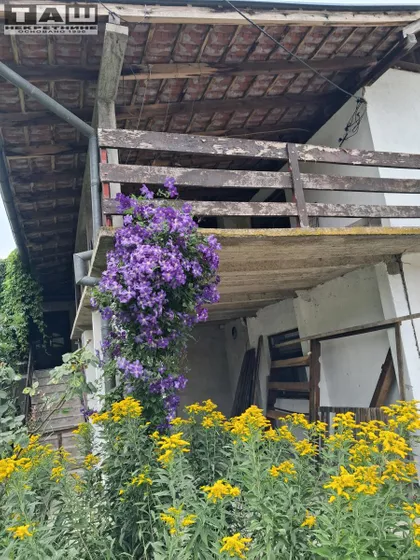 Grošnica | 4zida.rs